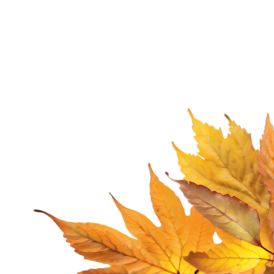 Soft Focus Fallen Leaves Png 33 PNG Image