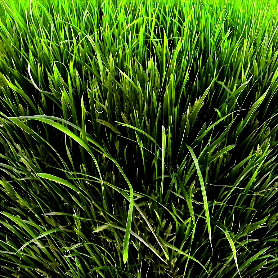 Soft Green Grass Texture Png Mst PNG Image