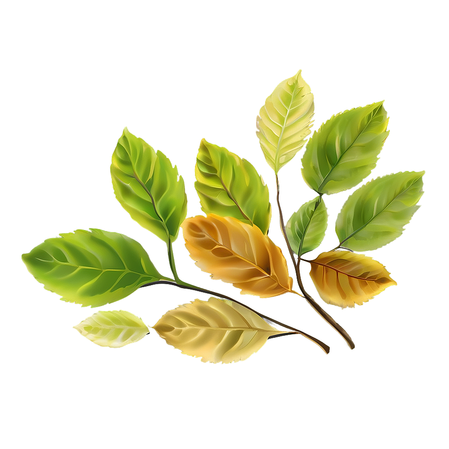 Soft Leaves Png 05042024 PNG Image