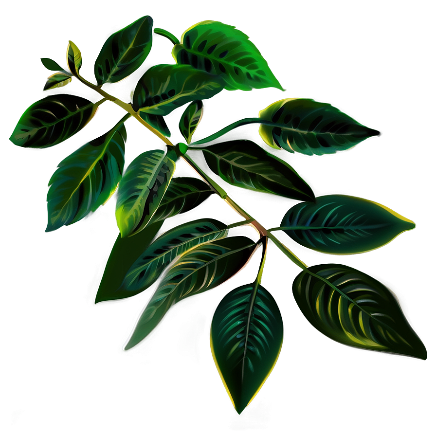 Soft Leaves Png 30 PNG Image