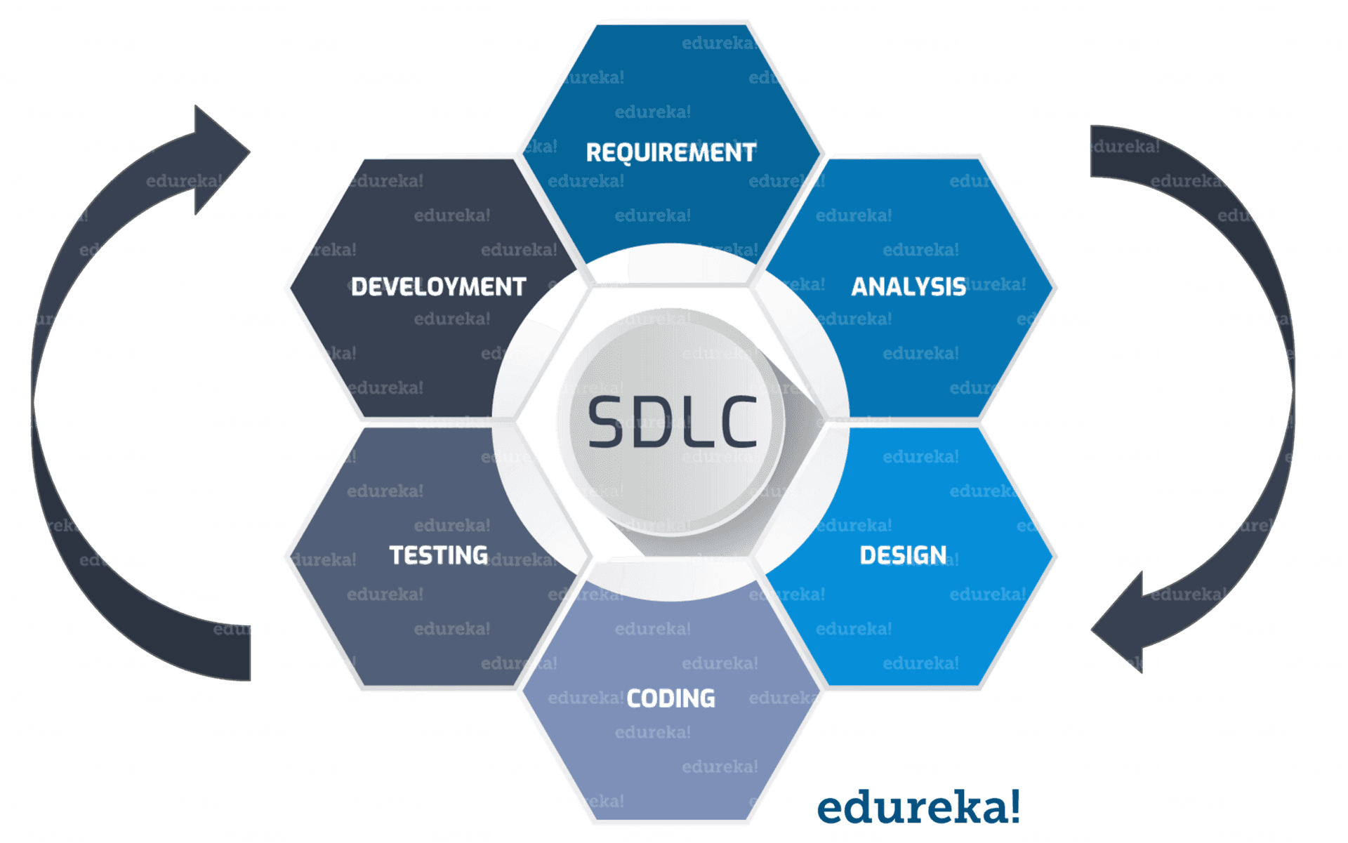 Software Development Life Cycle Infographic PNG Image