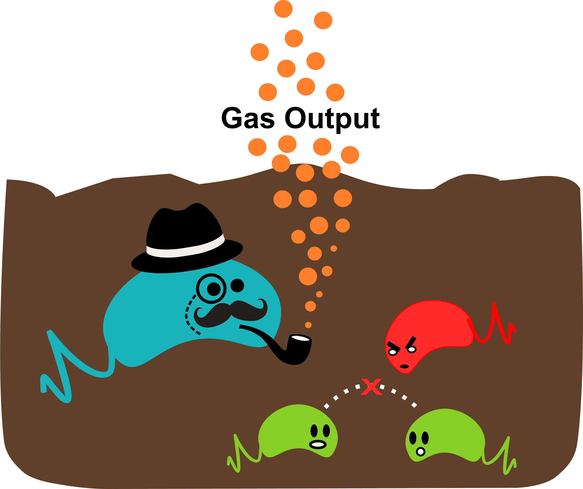 Soil Bacteria Interactionsand Gas Production PNG Image