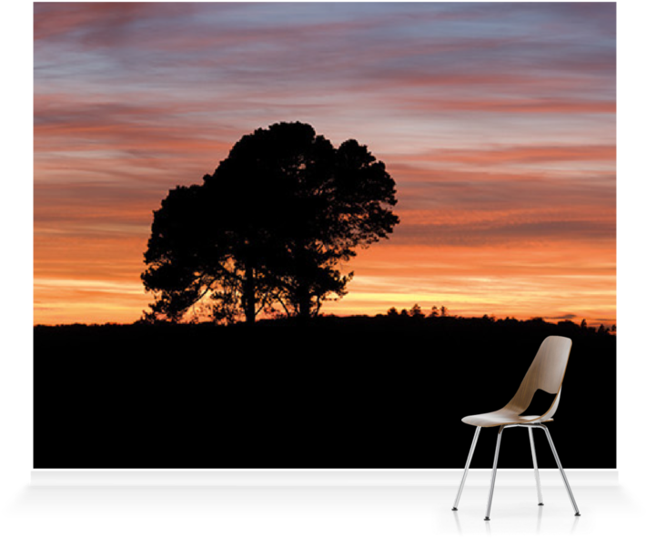 Solitary_ Chair_ Under_ Sunset_ Sky PNG Image