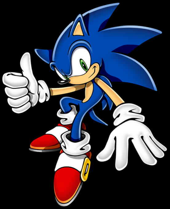 Sonic Thumbs Up Pose PNG Image