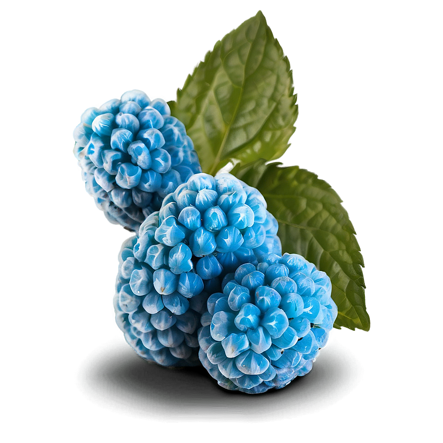 Sour Blue Raspberry Png Qea PNG Image