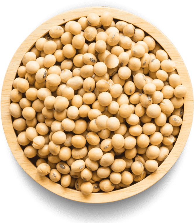 Soybeansin Wooden Bowl PNG Image