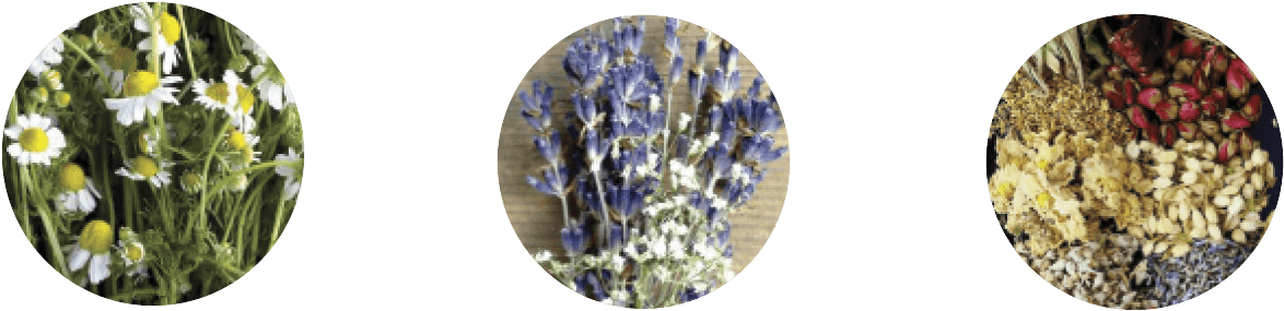 Spa Essential Oilsand Herbs PNG Image