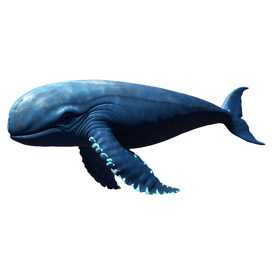 Space Whale Png 05232024 PNG Image