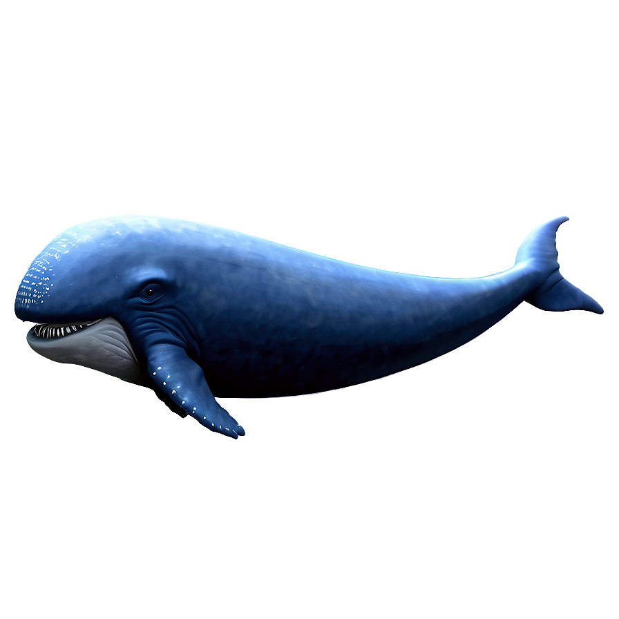 Space Whale Png 1 PNG Image