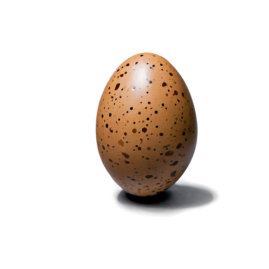 Speckled Brown Egg Png 06202024 PNG Image