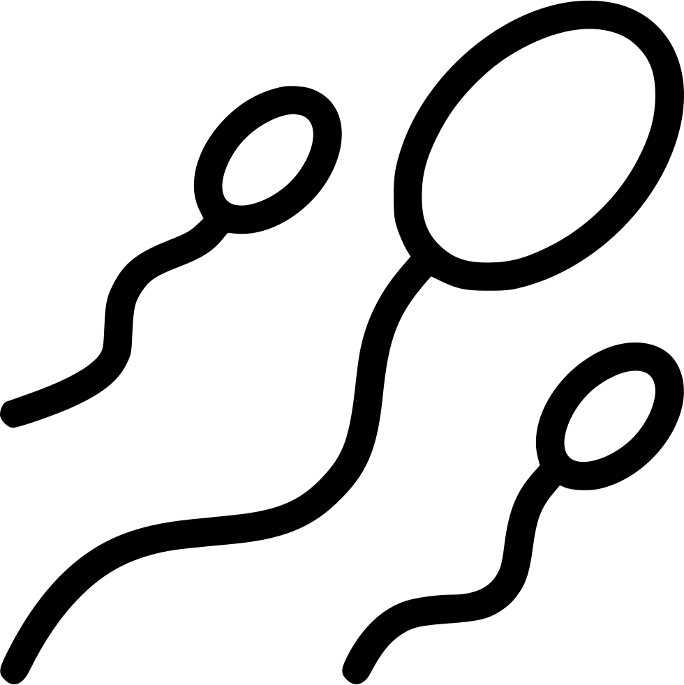 Sperm Cells Silhouette Graphic PNG Image