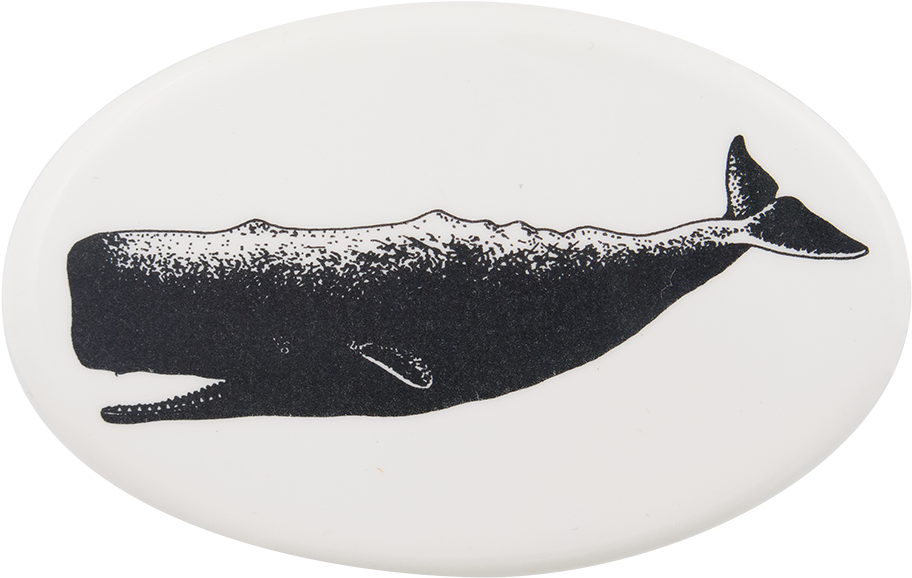 Sperm Whale Silhouette PNG Image