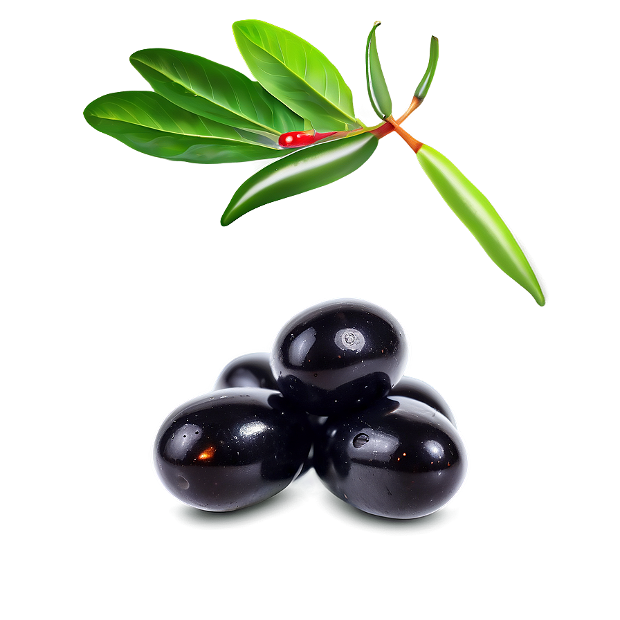 Spicy Black Olives Png Jqh95 PNG Image