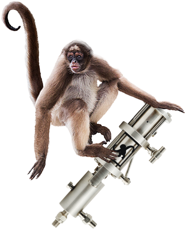 Spider Monkey With Telescope PNG Image