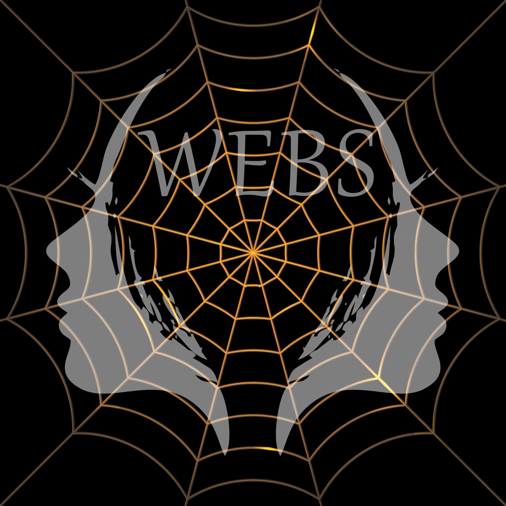 Spider Web Artistic Design PNG Image