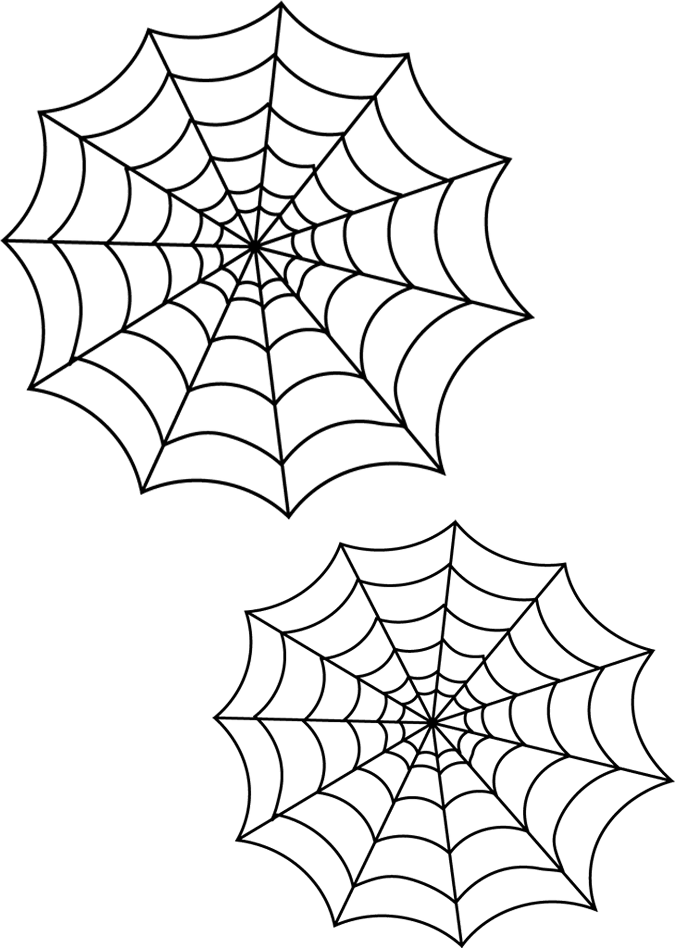 Spider Web Duo Graphic PNG Image