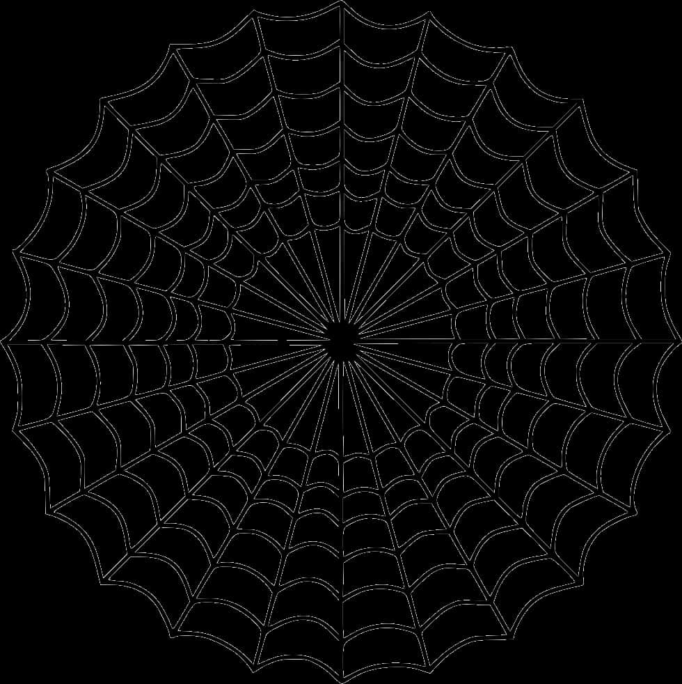 Spider Web Graphic Design PNG Image