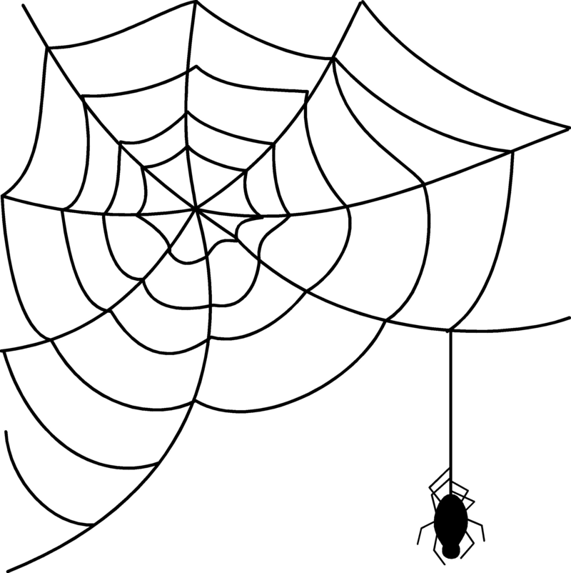 Spider Webwith Spider Drawing PNG Image