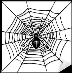 Spideron Web Graphic PNG Image