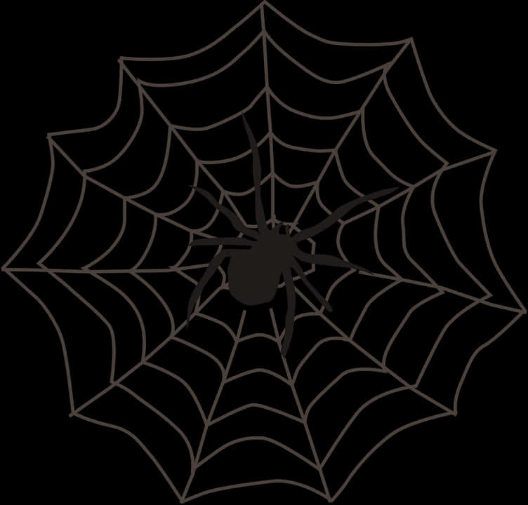 Spideron Web Silhouette PNG Image