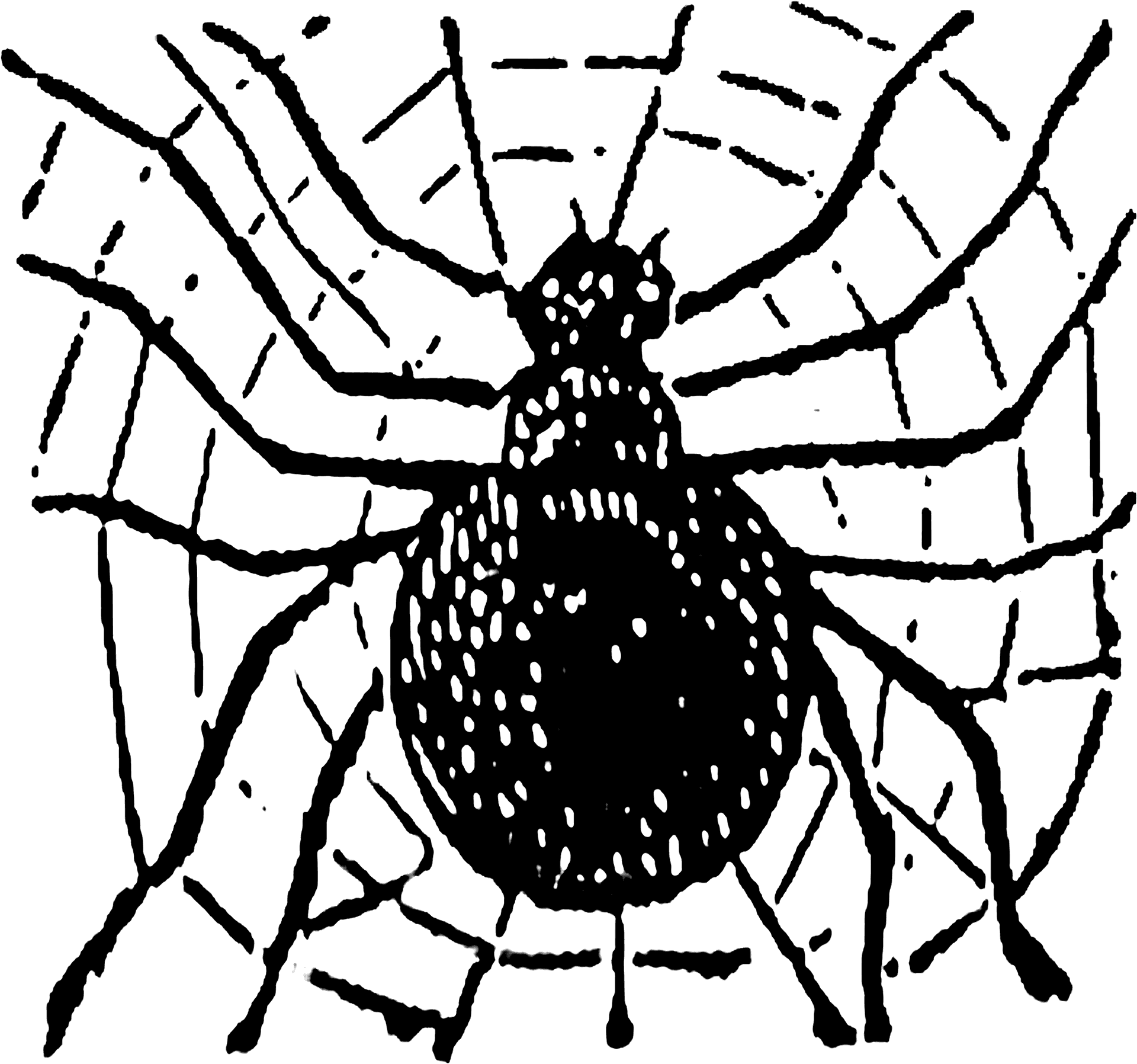 Spideron Web Sketch PNG Image