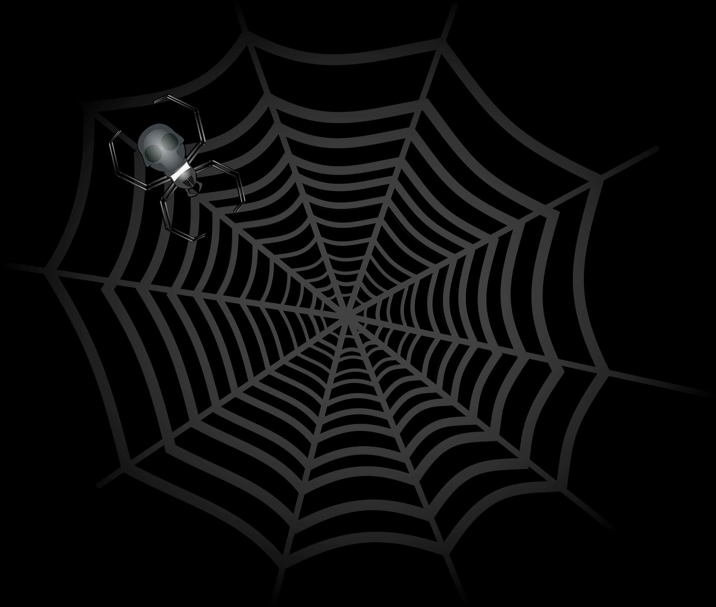 Spideron Webin Darkness PNG Image