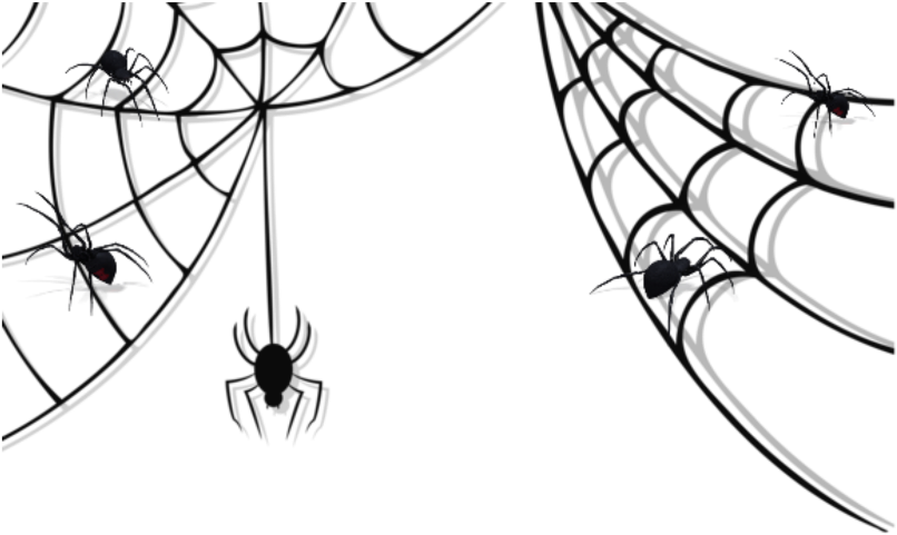 Spiders_on_ Web_ Silhouette PNG Image