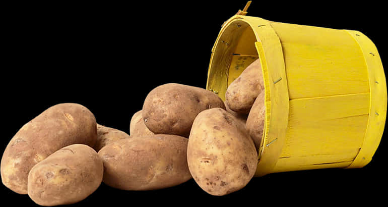 Spilled Potatoes Yellow Bucket PNG Image