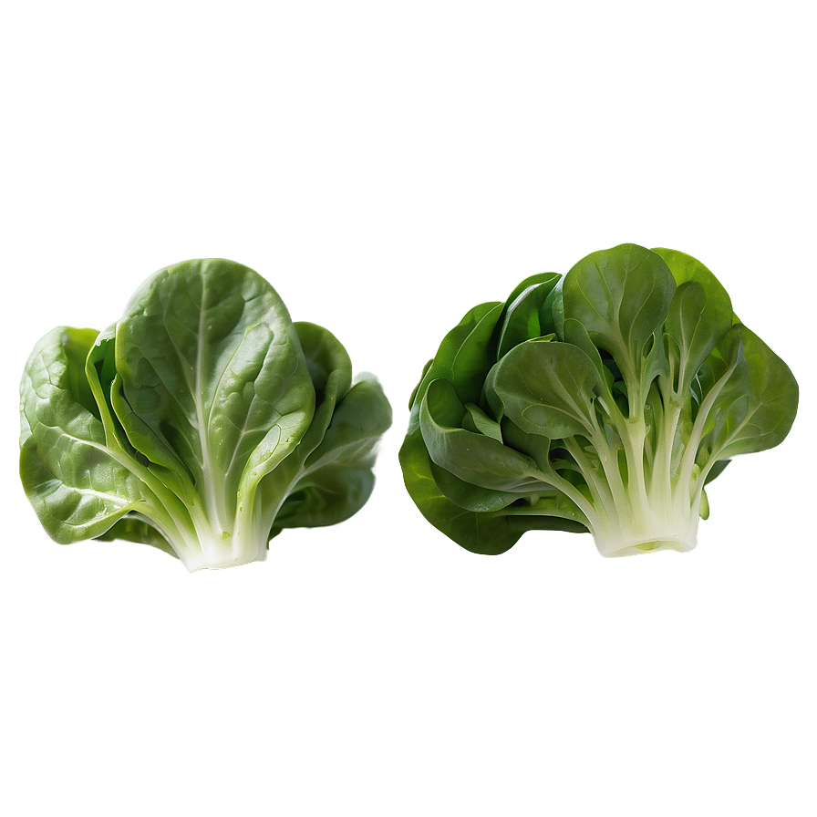 Spinach Lettuce Png Mgh PNG Image