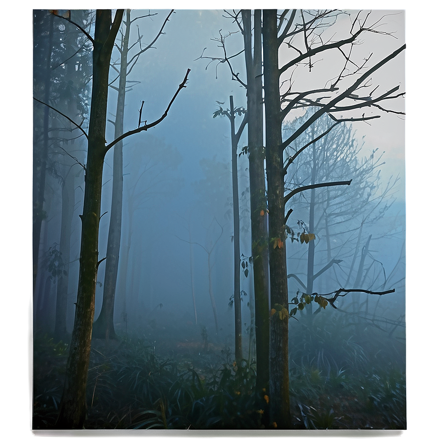 Spooky Fog Texture Png 06282024 PNG Image