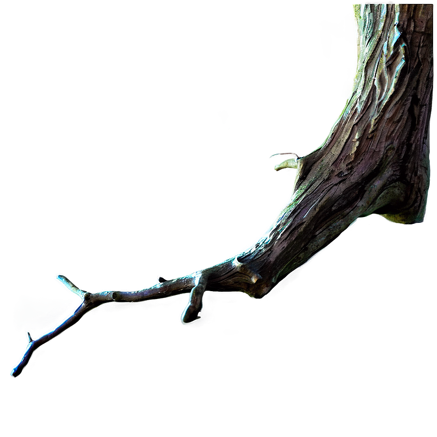 Spooky Tree Branch Png Ypw23 PNG Image