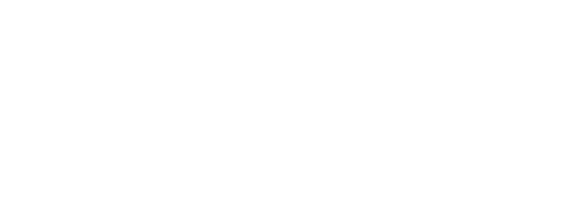 Sport Experience Logo PNG Image