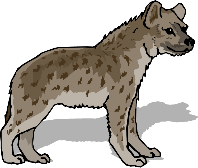 Spotted Hyena Illustration.png PNG Image