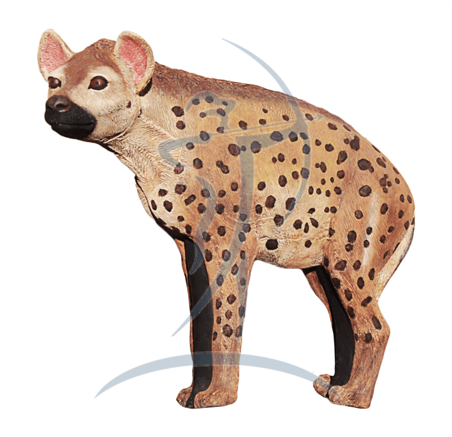 Spotted Hyena Standing Transparent Background PNG Image