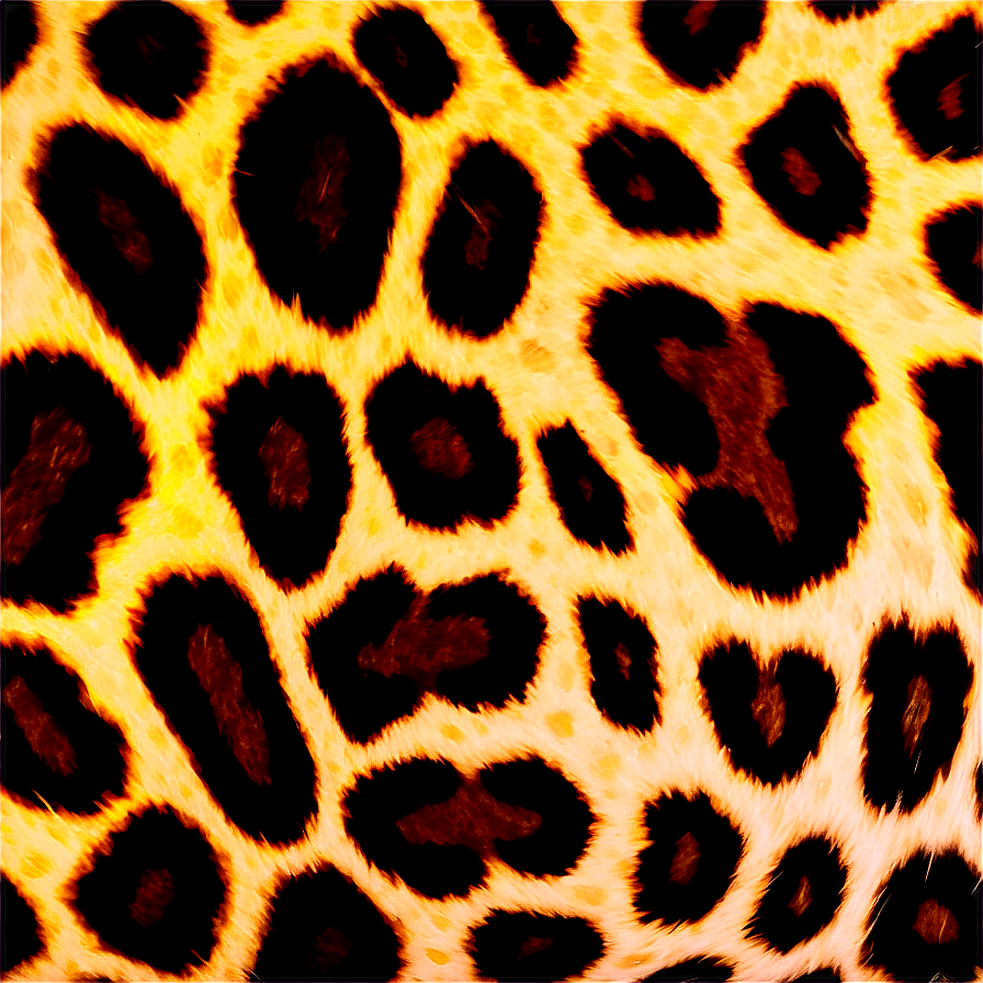 Spotted Leopard Hide Png 27 PNG Image