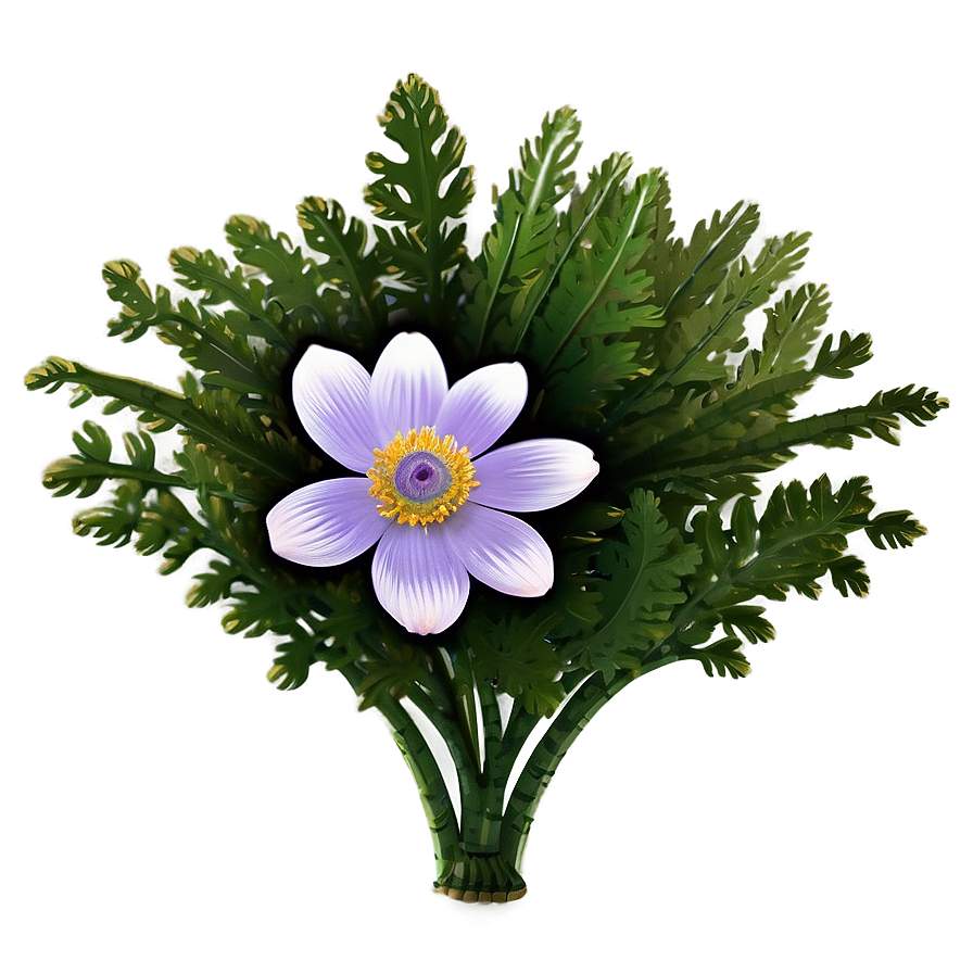 Spring Anemone Bloom Png Qqo PNG Image