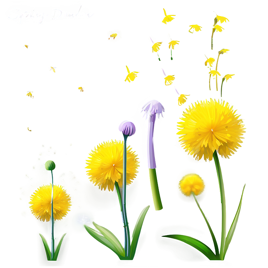 Spring Dandelions Png Sll9 PNG Image