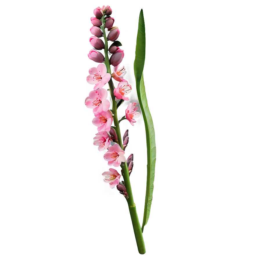 Spring Flower Stem Png Glq8 PNG Image