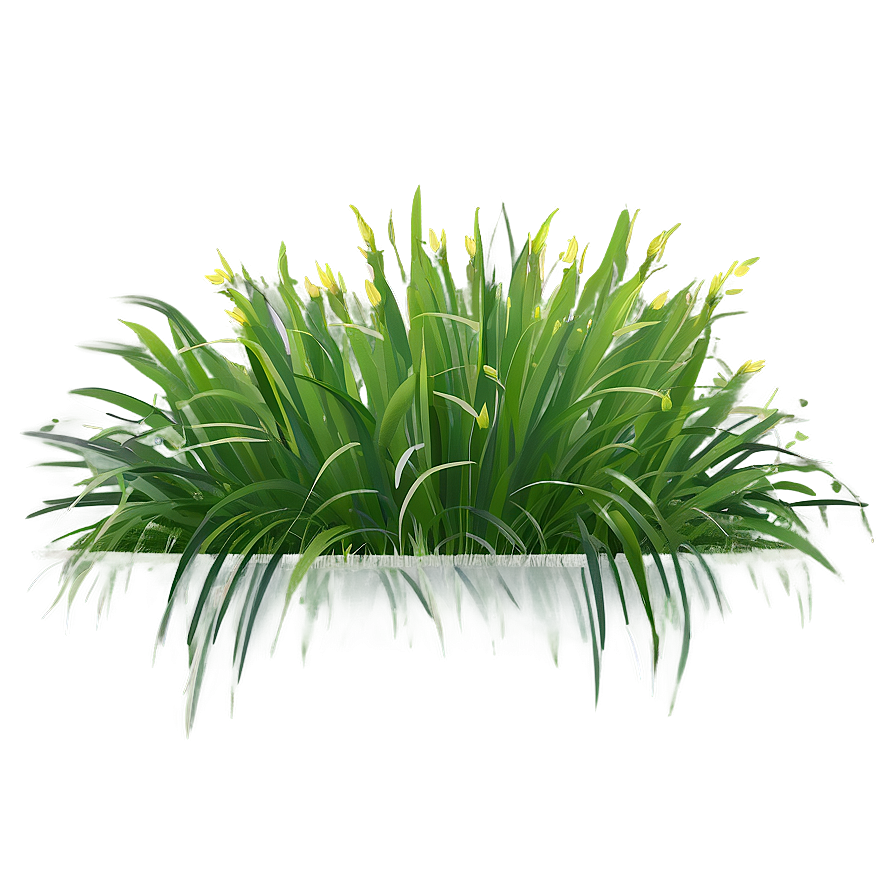 Spring Grass Clipart Png 06272024 PNG Image