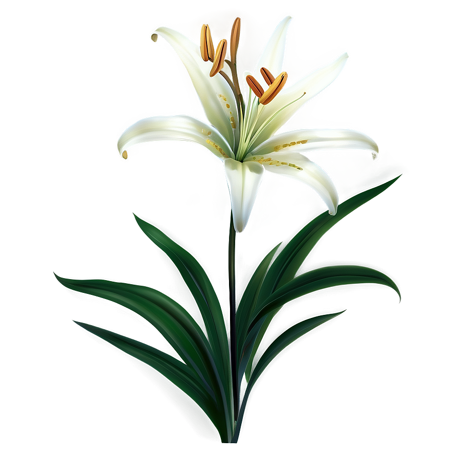 Spring Lily Flower Png 46 PNG Image