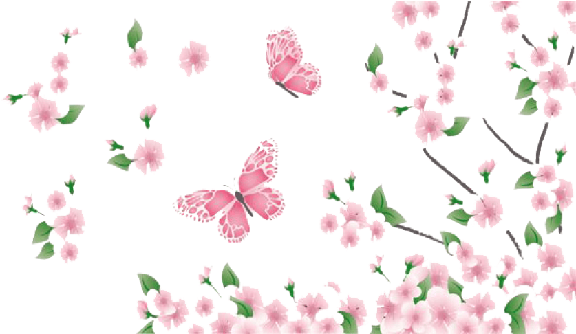 Springtime Blossomsand Butterflies PNG Image