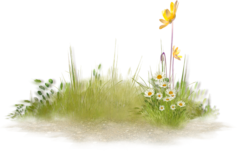 Springtime Grass Island Floral Scene PNG Image