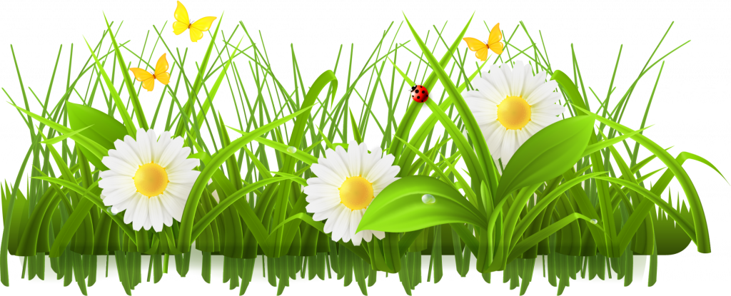 Springtime Meadow Scene PNG Image