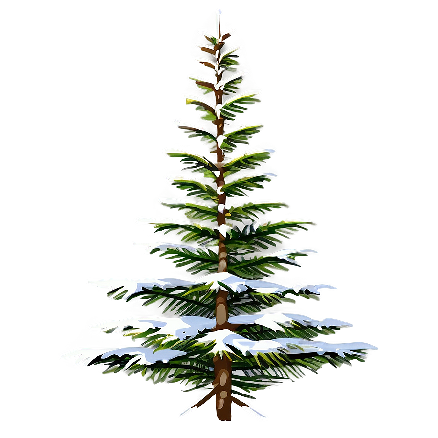 Spruce Tree In Alpine Environment Png Wdo60 PNG Image