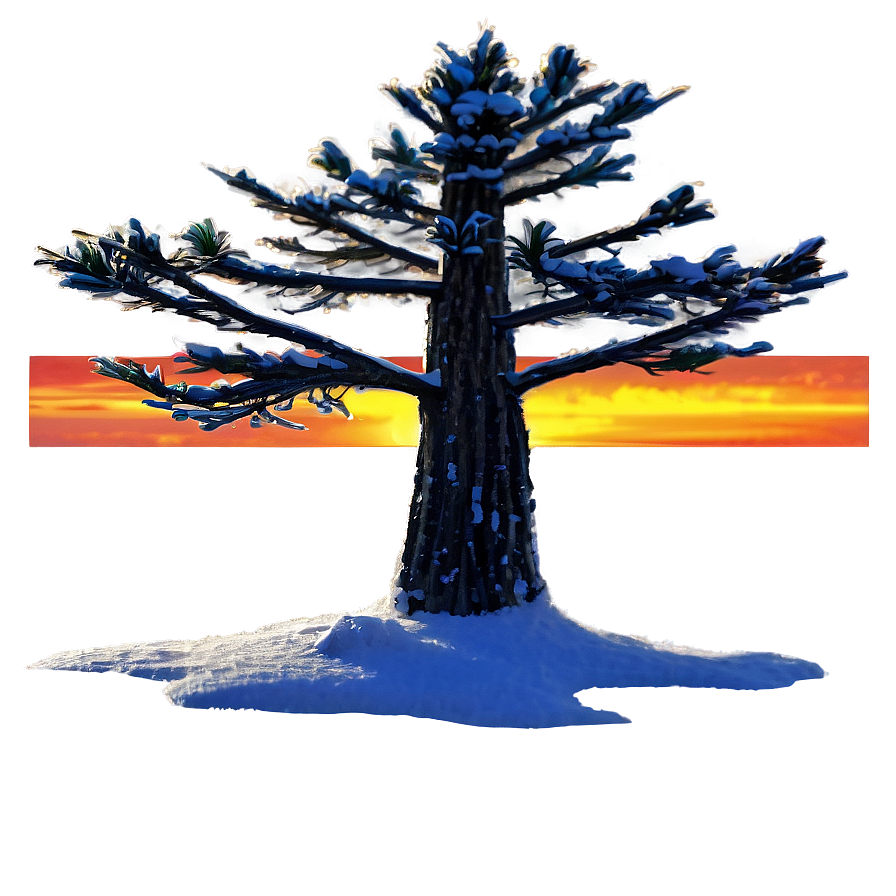 Spruce Tree In Fiery Sunset Png 64 PNG Image