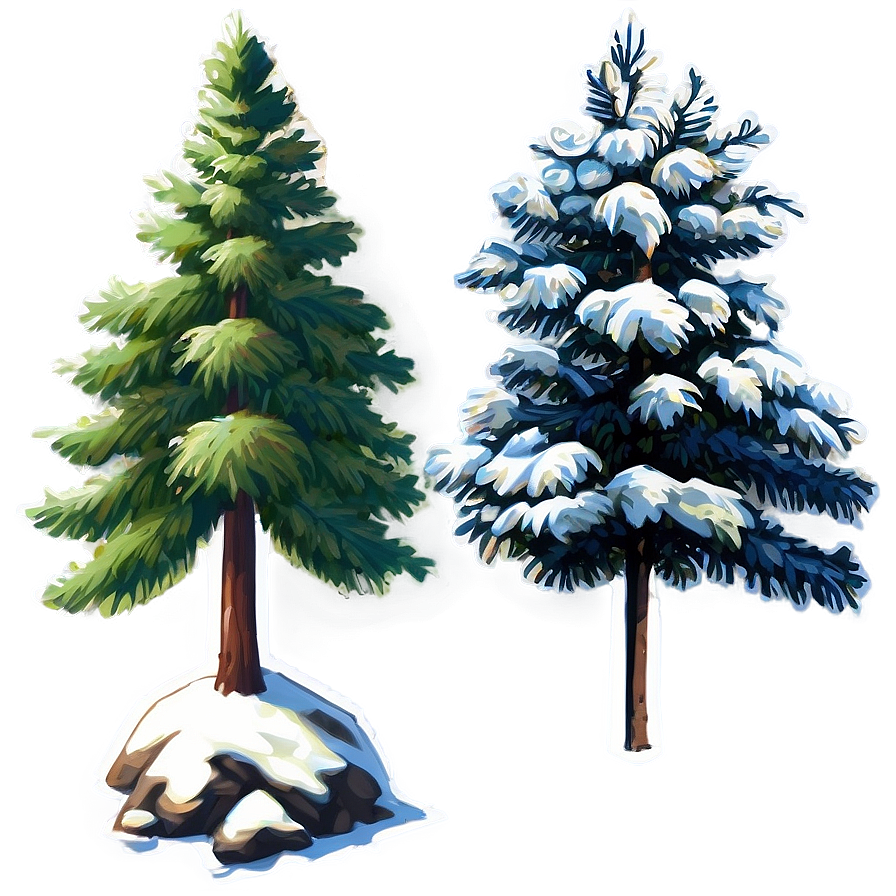 Spruce Tree In Mountainous Terrain Png 06132024 PNG Image