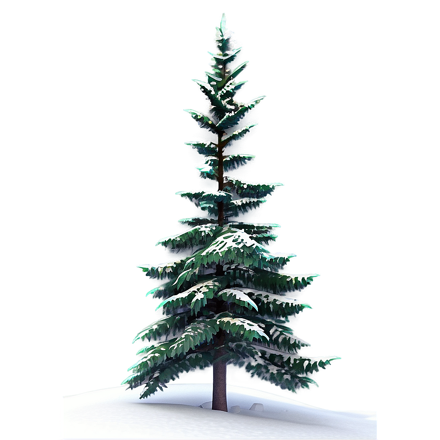 Spruce Tree On Hilltop View Png 1 PNG Image