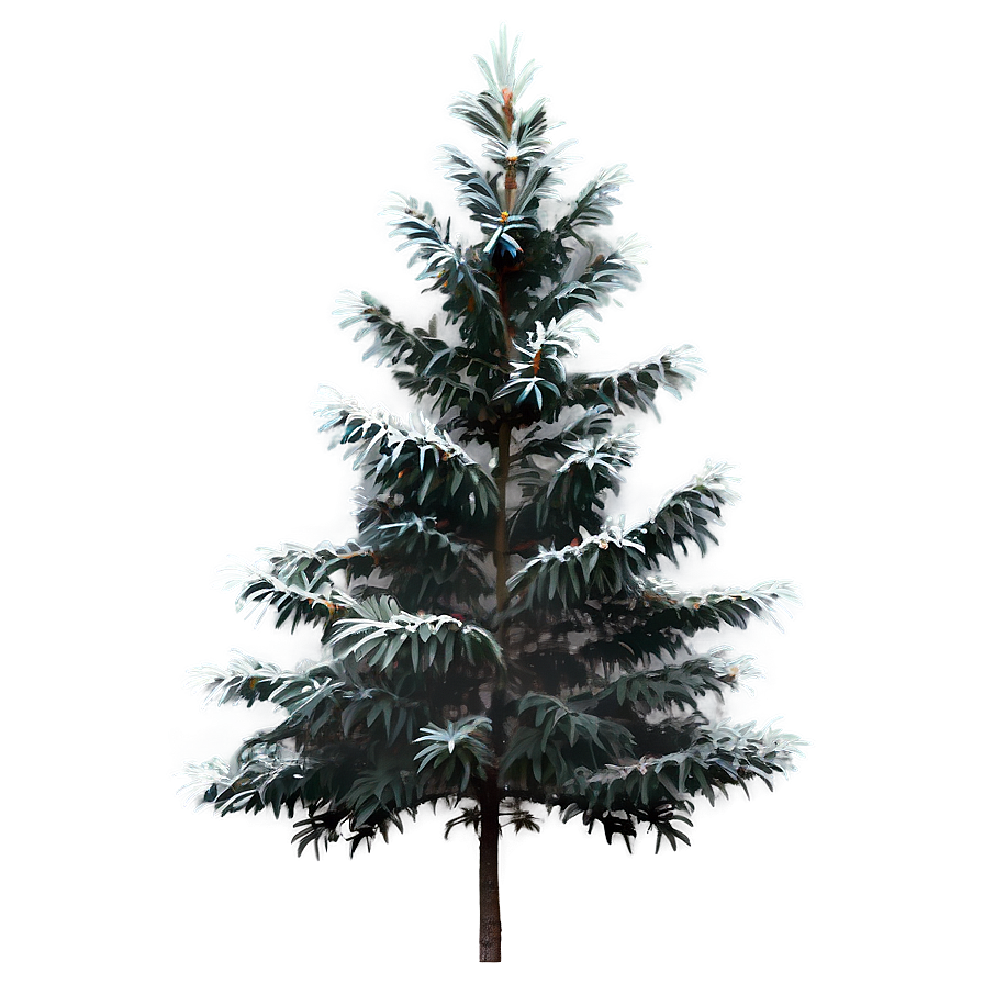 Spruce Tree On Hilltop View Png 94 PNG Image