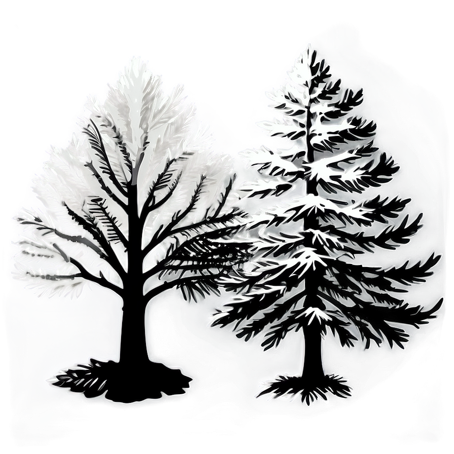 Spruce Tree Silhouette Png Etg70 PNG Image