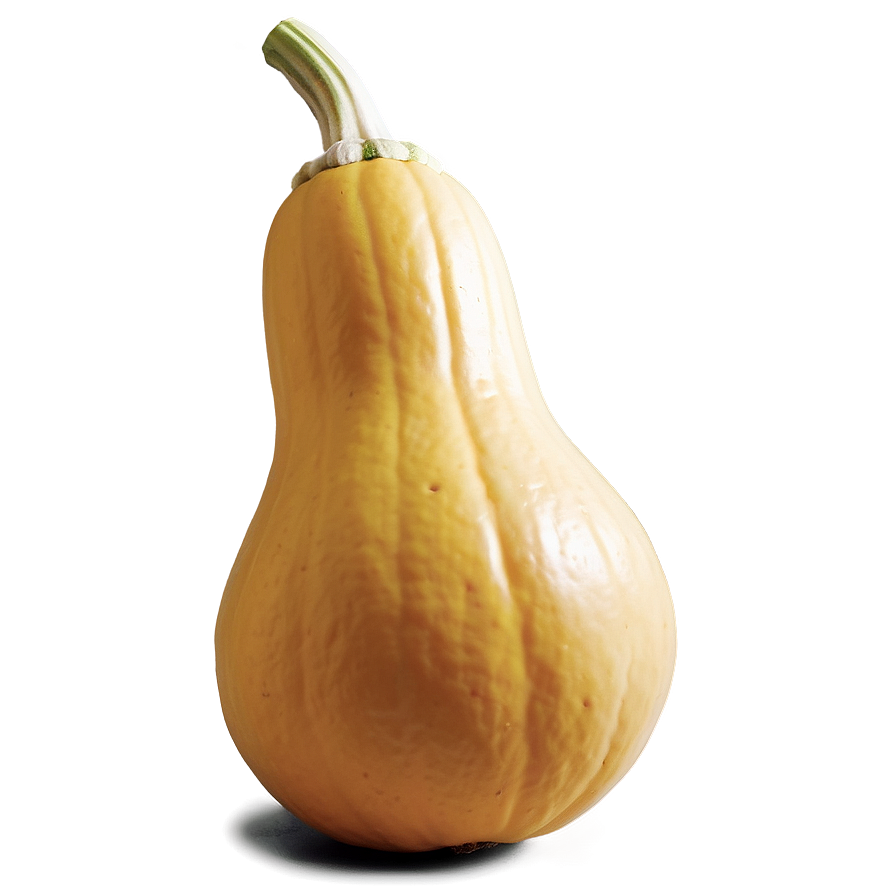 Squash A PNG Image